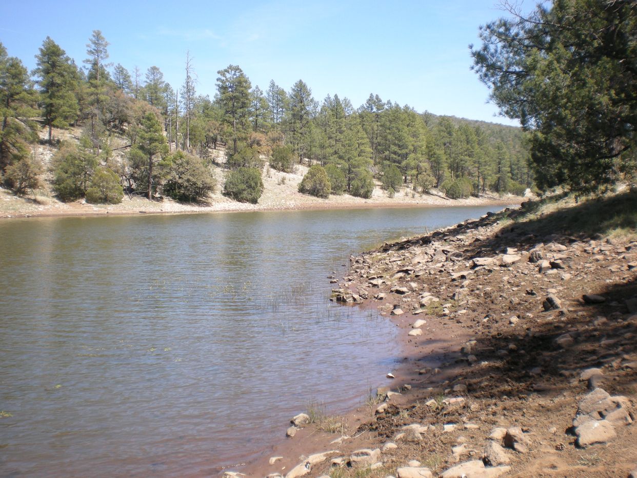 Sawmill Tank