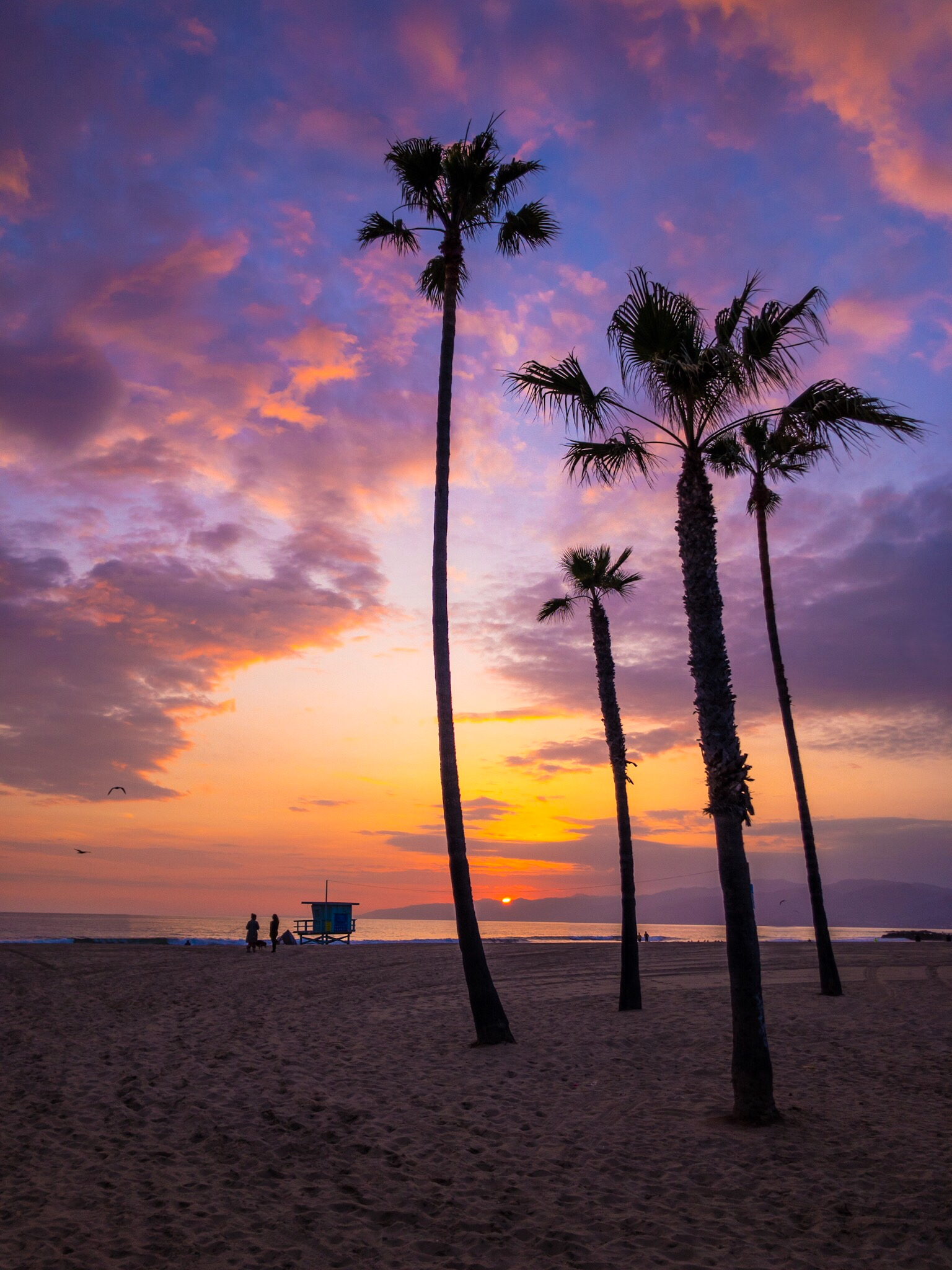 Ocean Front Walk — Photo by stephanecouture.com