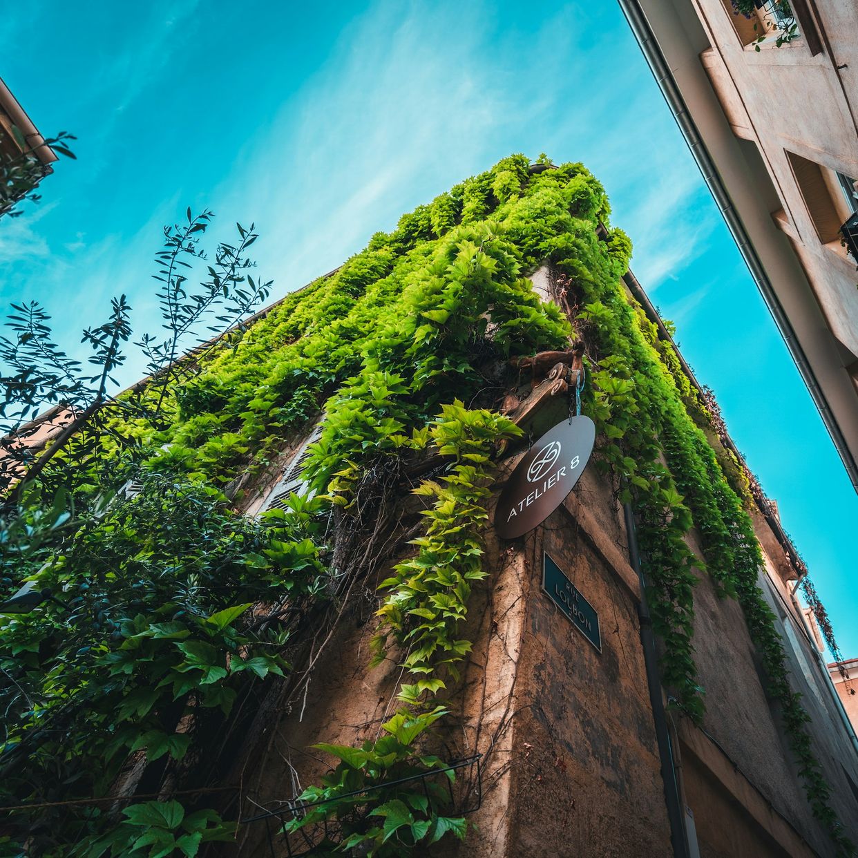 Rue du Puits Juif Plant-Covered Building