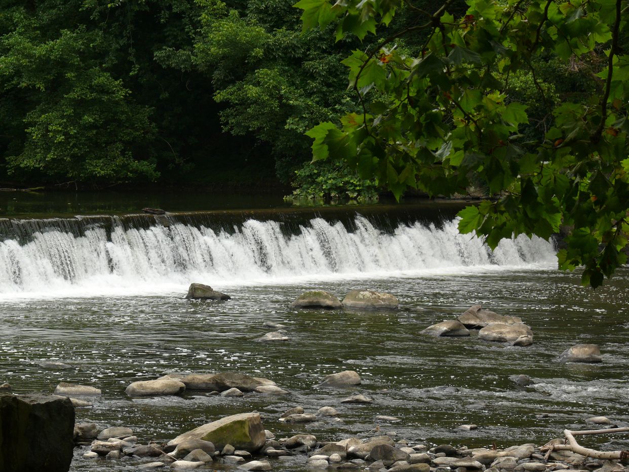 Brandywine Creek 