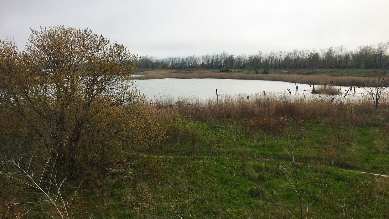 Tommy Thompson Park