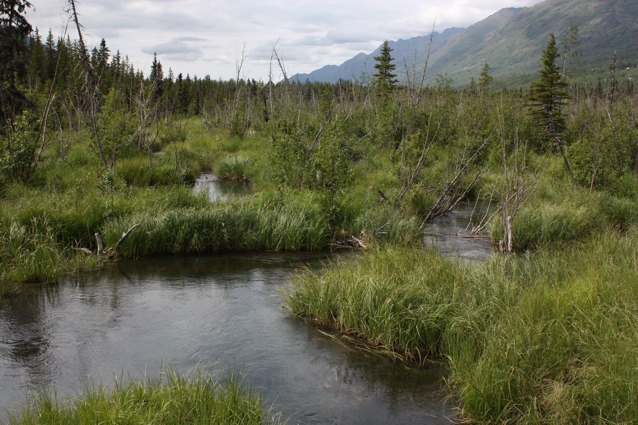 Eagle River