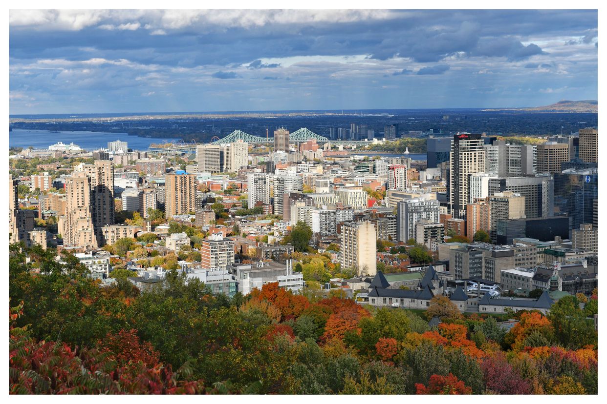 Mount Royal Lookout