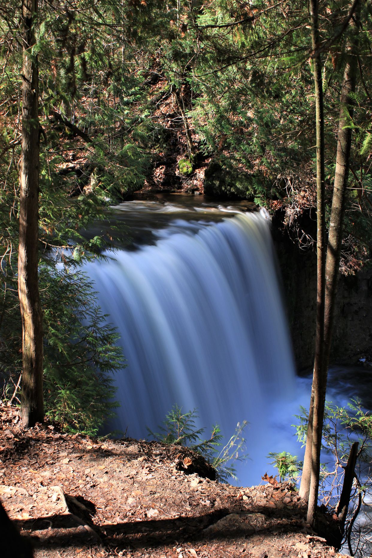 Hoggs Falls