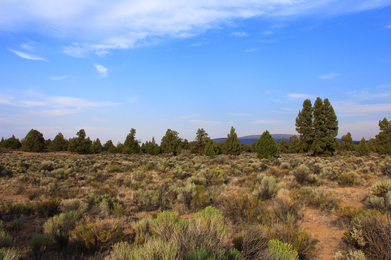 Oregon Badlands Wilderness