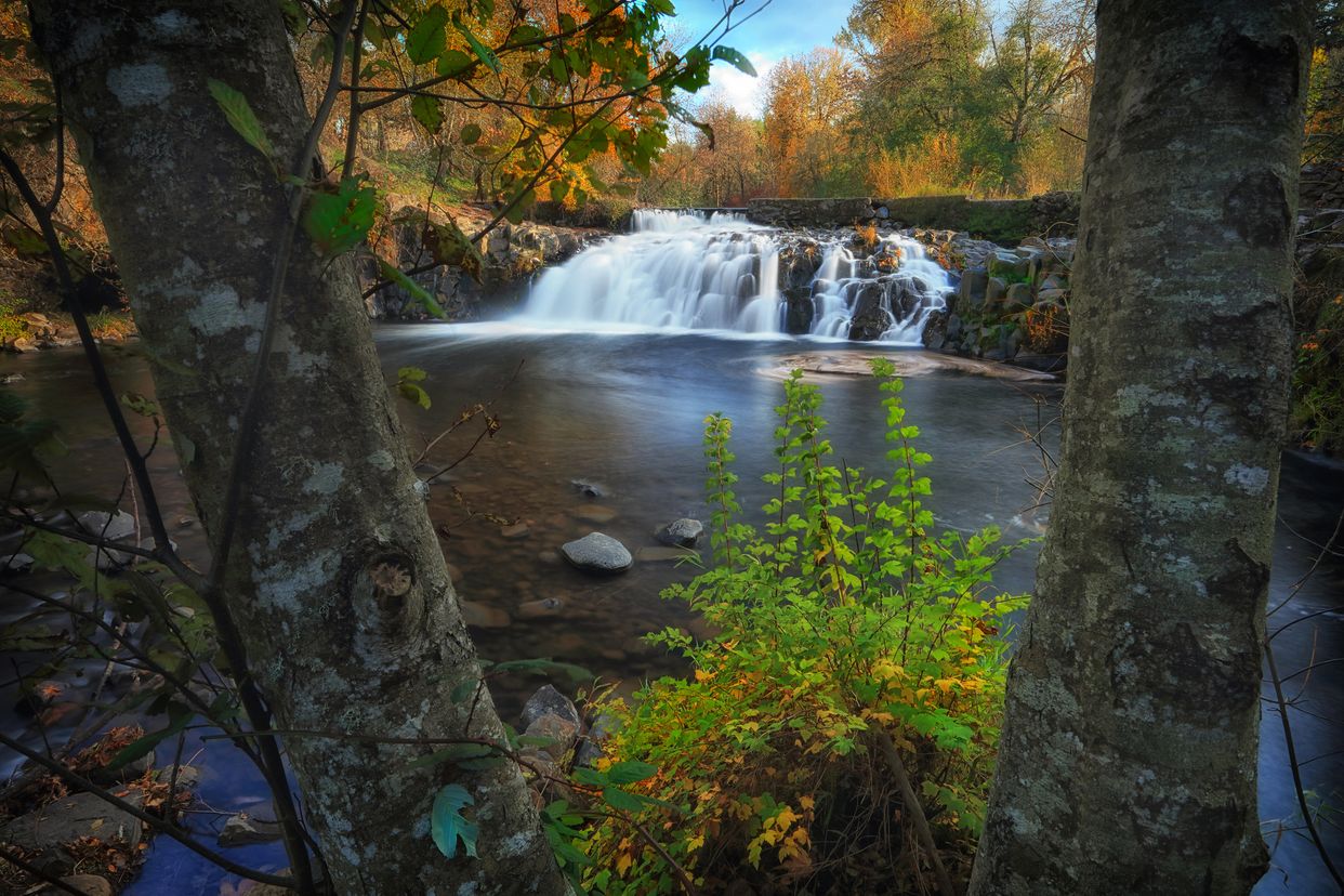 Scott's Mills Falls