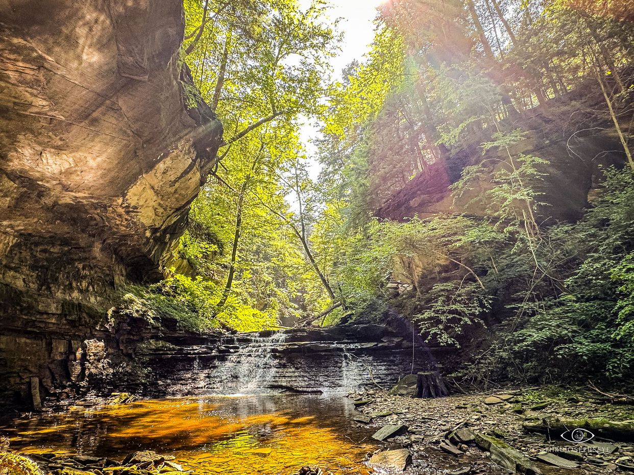 Stebbins Gulch