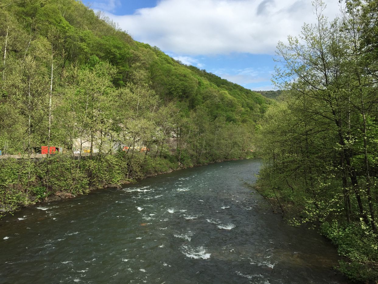 North Branch Potomac River