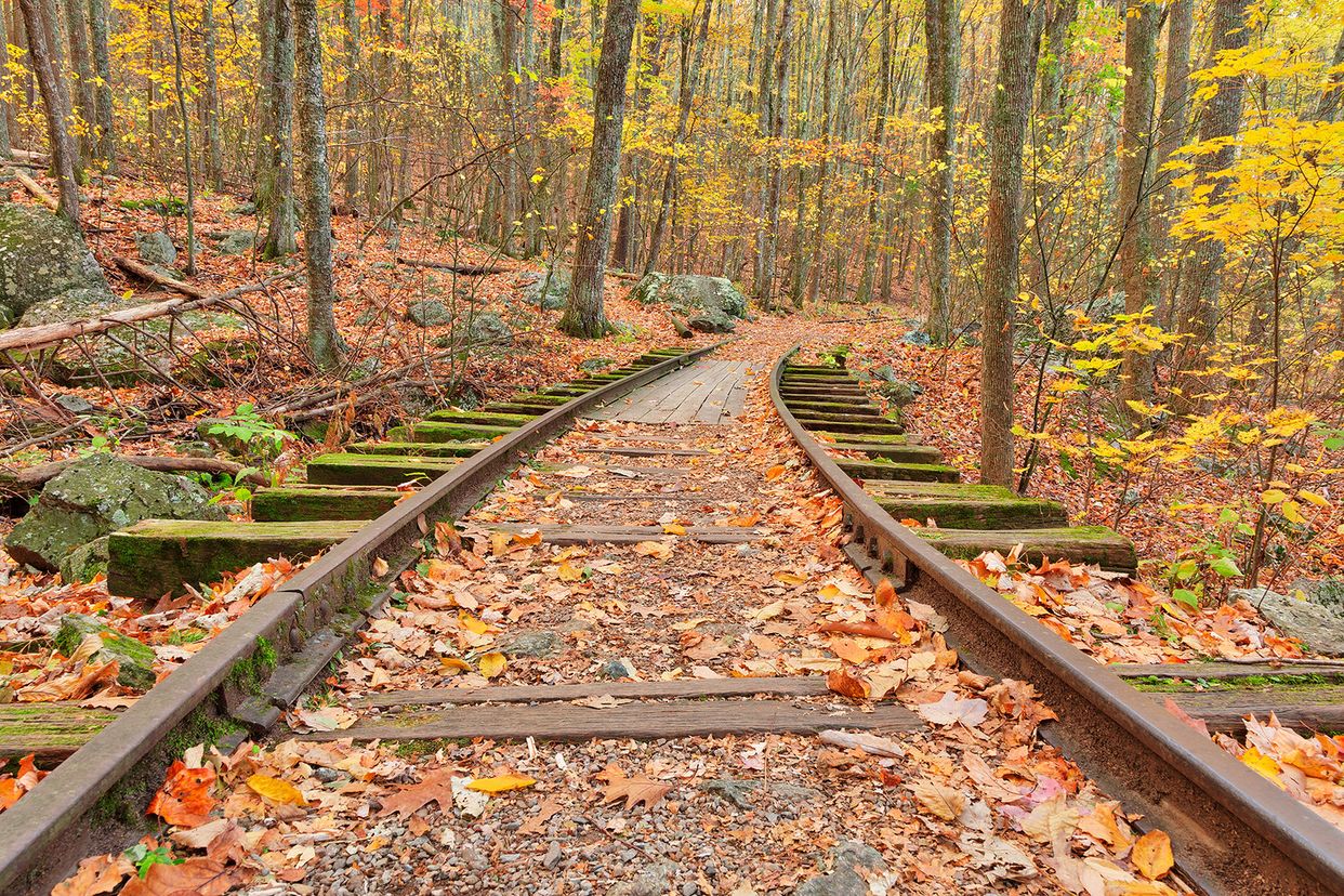 Abandoned Railroad Tracks