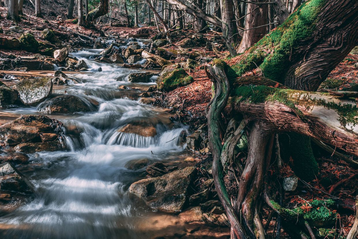 Creek Bed Falls