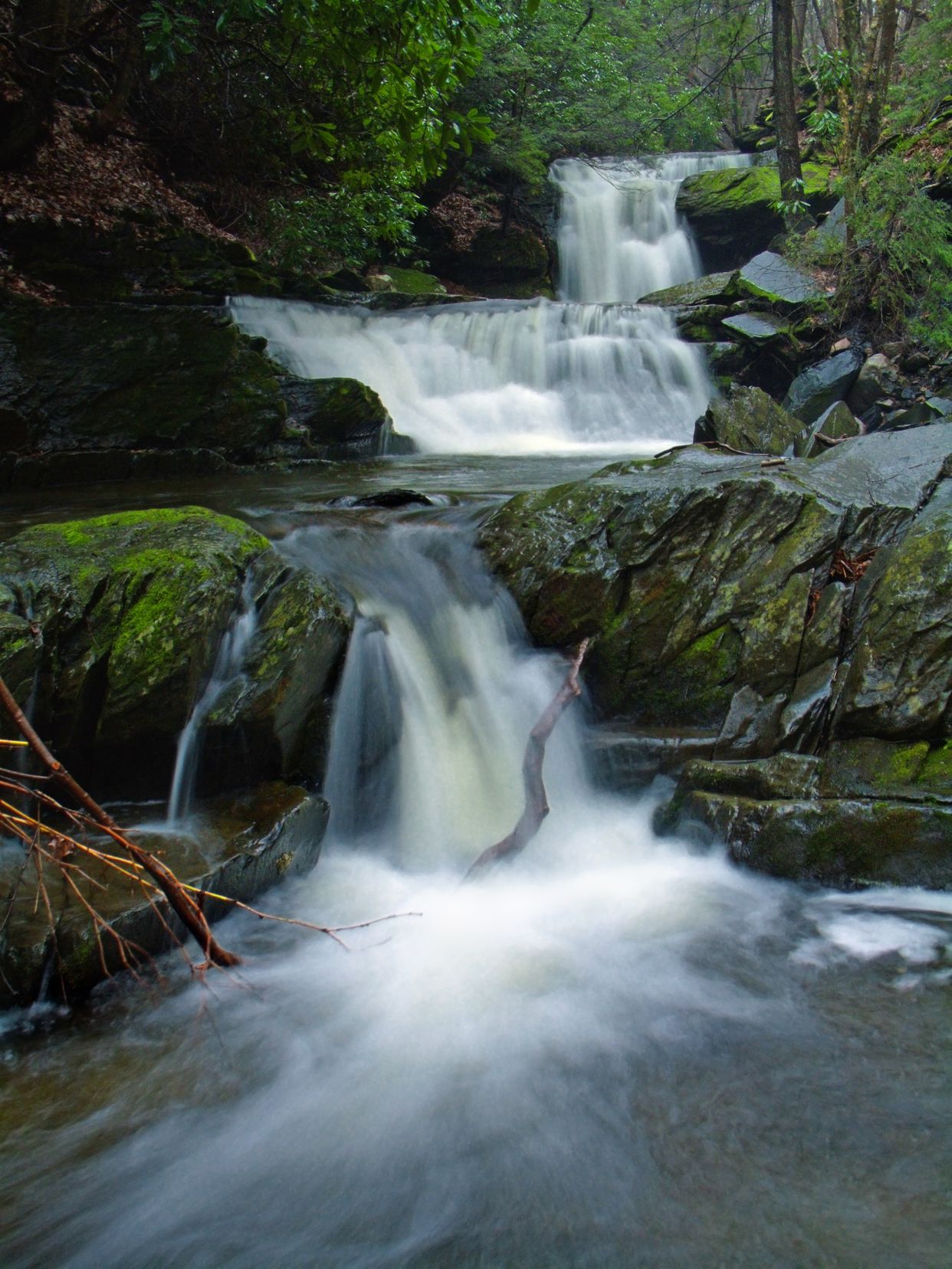 Slateford Creek Lower Waterfalls