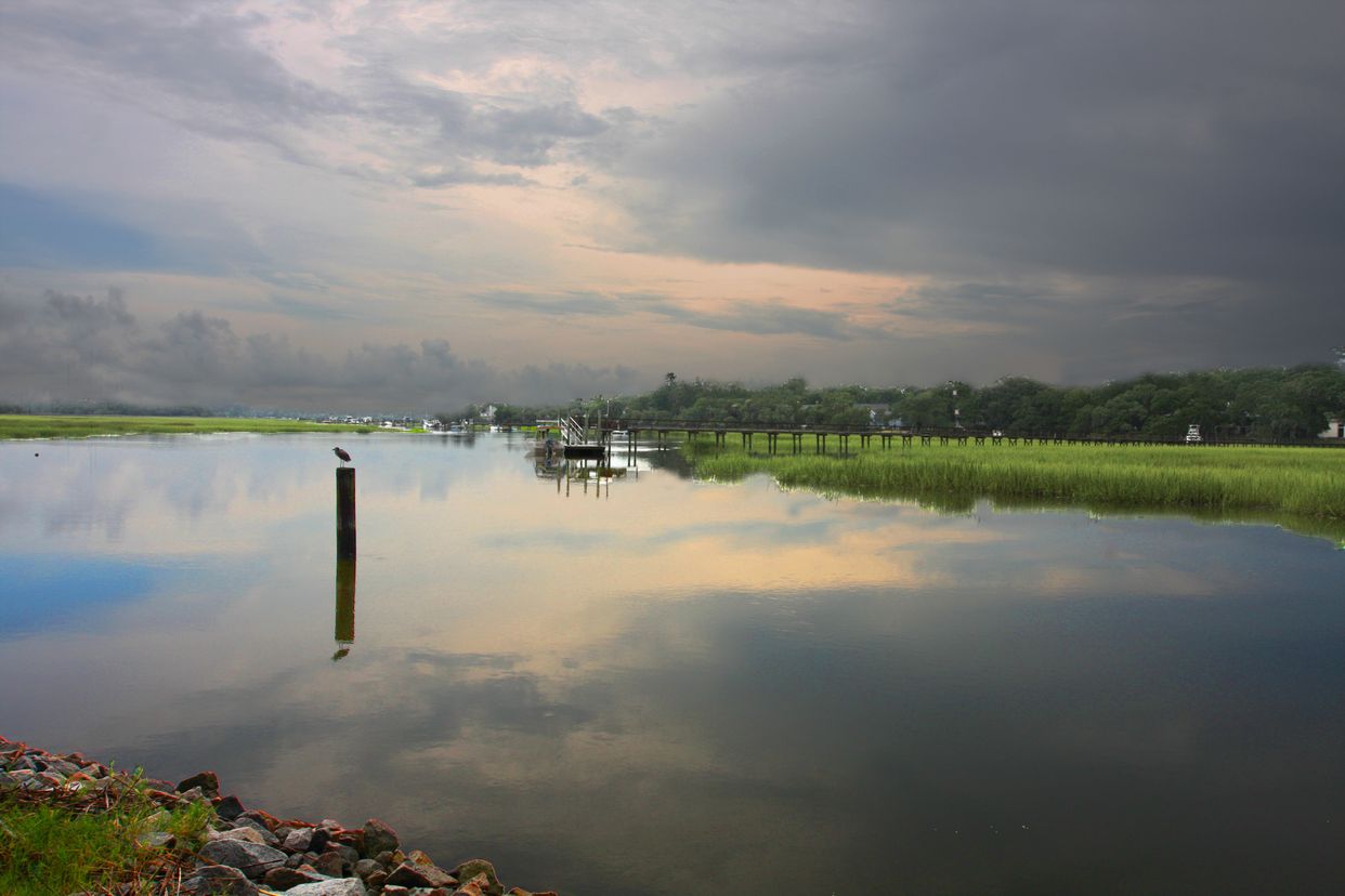 Horlbeck Creek