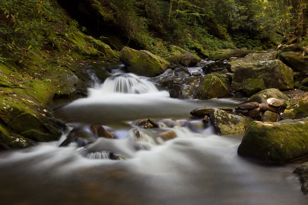 Bradley Creek