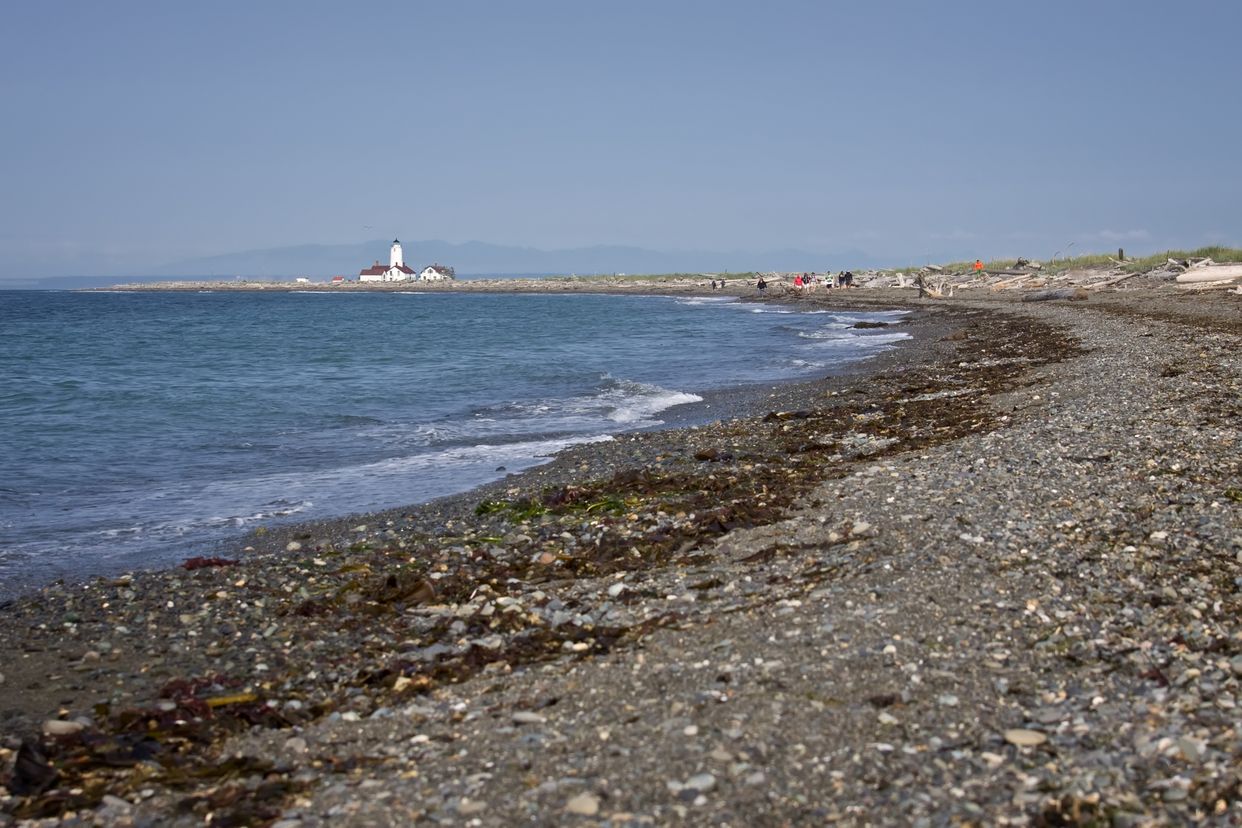 Dungeness Spit