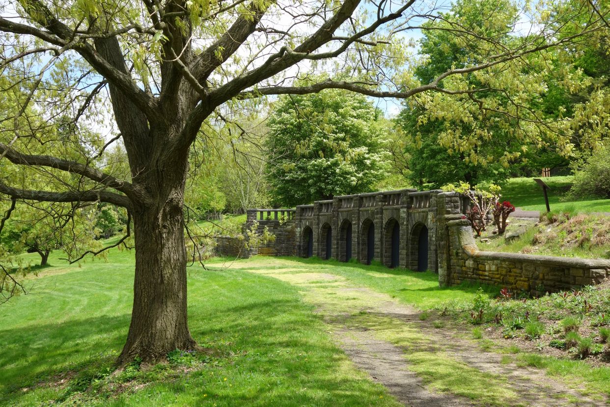 Morris Arboretum