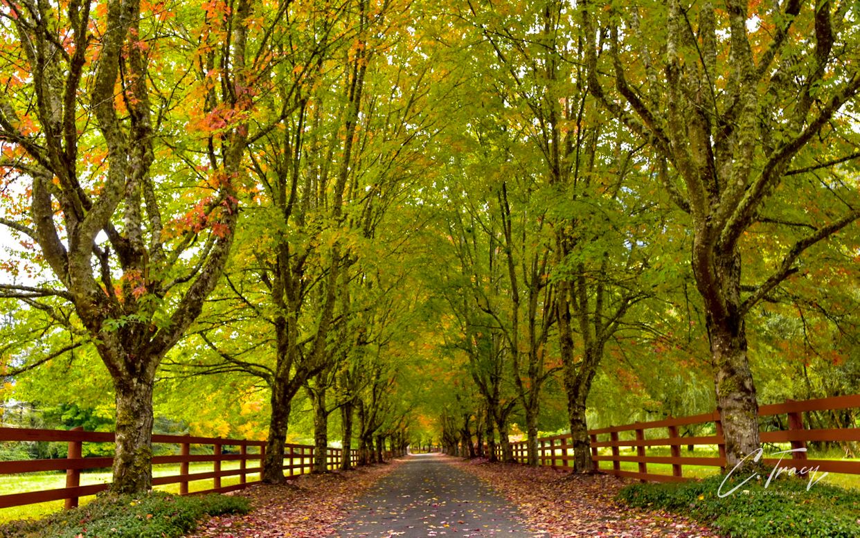 Rockwood Farms