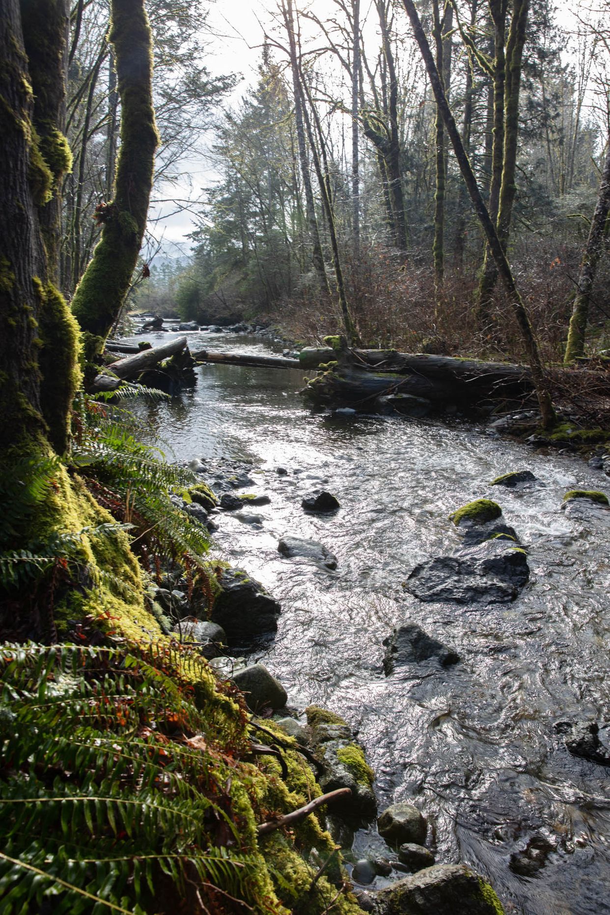 River View