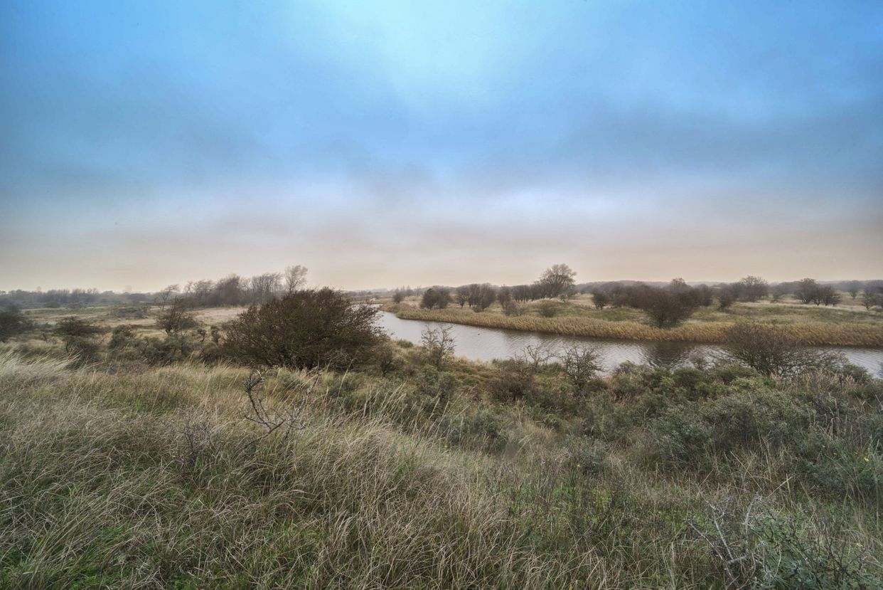 Amsterdamse Waterleidingduinen