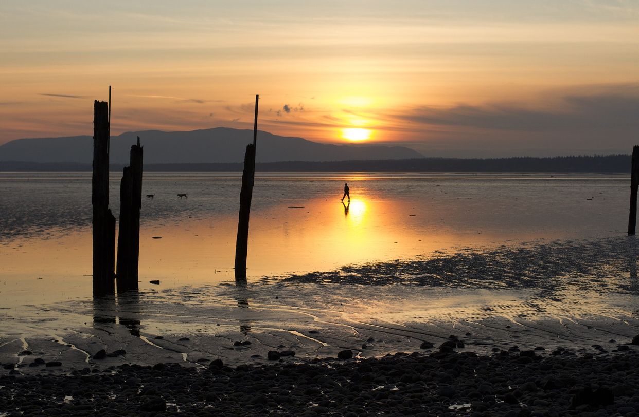 Locust Beach
