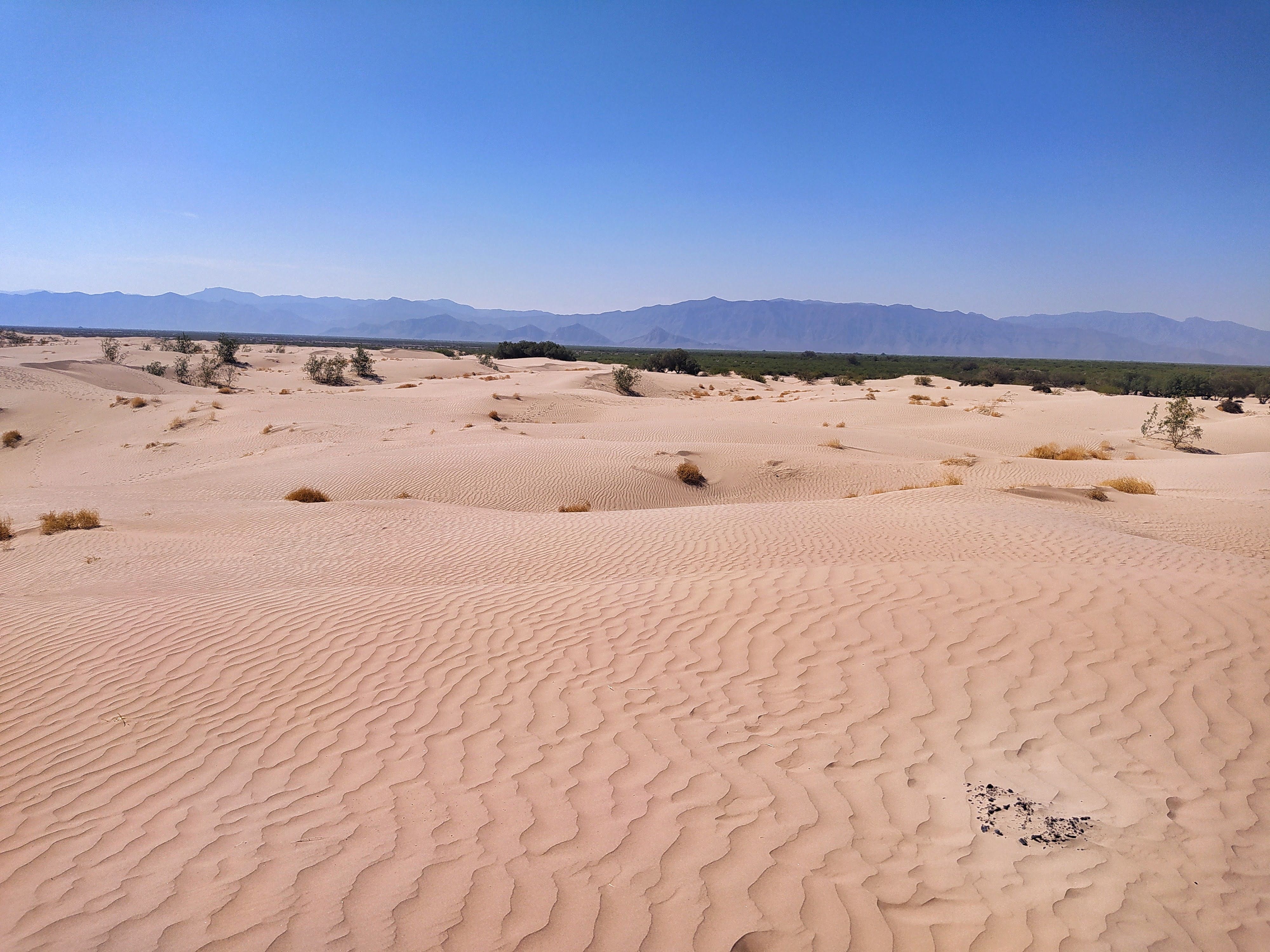 Bilbao Dunes — Photo by @andres_perez_rios
