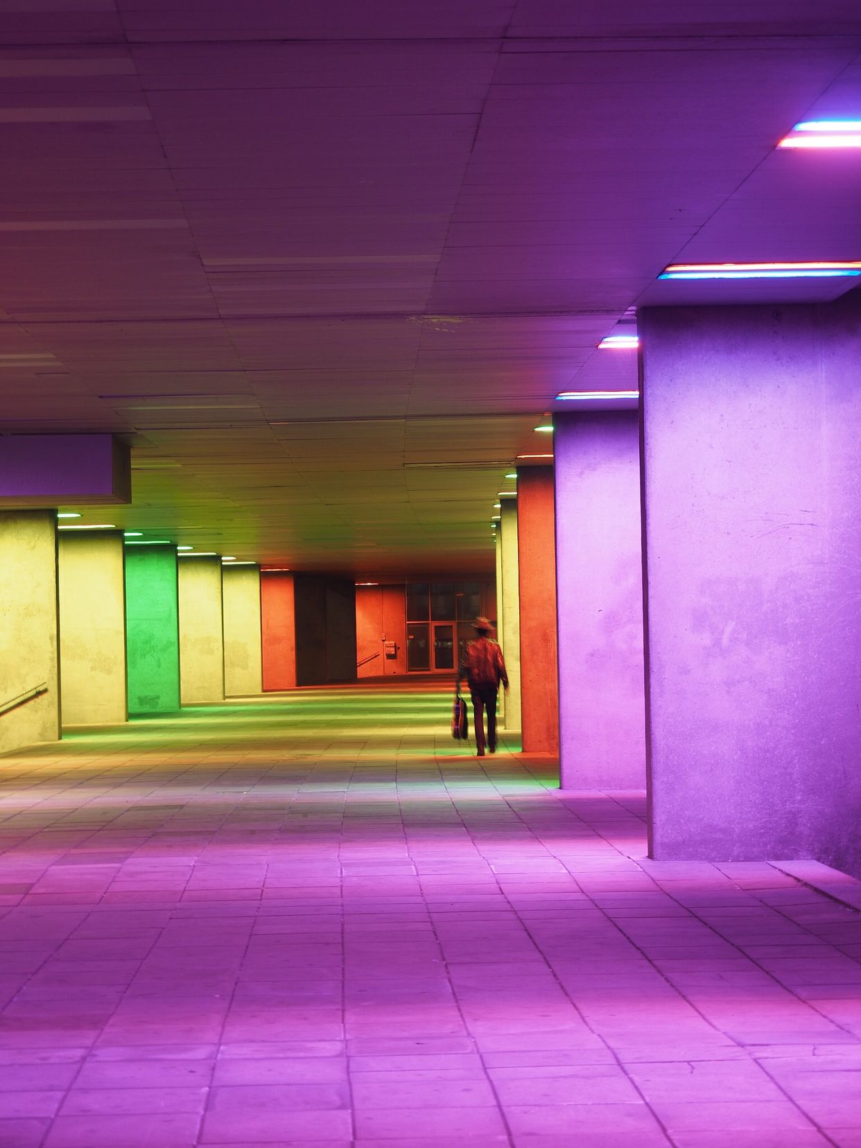 The Dutch Architectural Institute