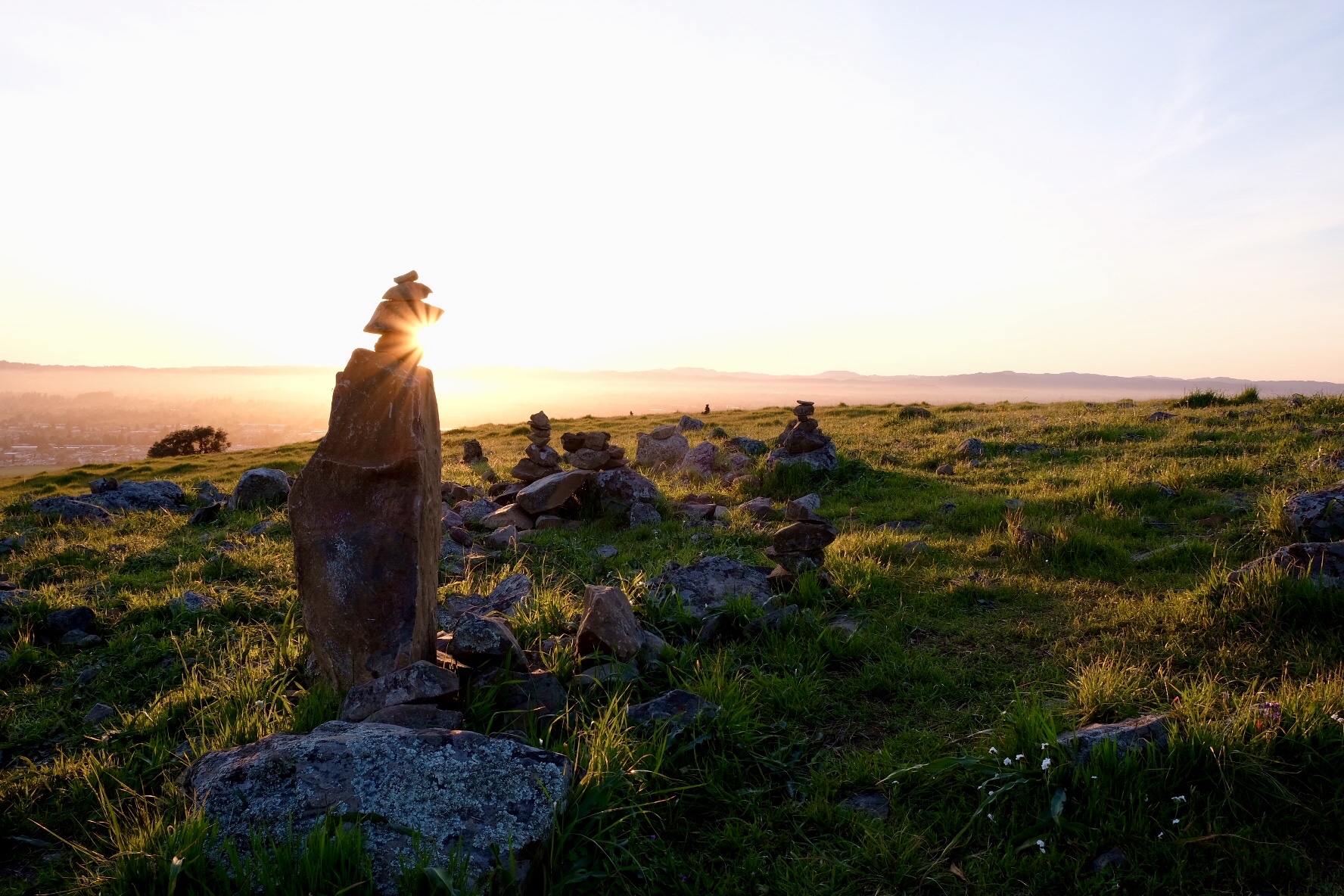 Taylor Mountain Regional Park and Open Space Preserve — Photo by lightshuffle.com