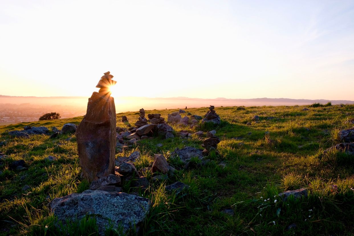 Taylor Mountain Regional Park and Open Space Preserve