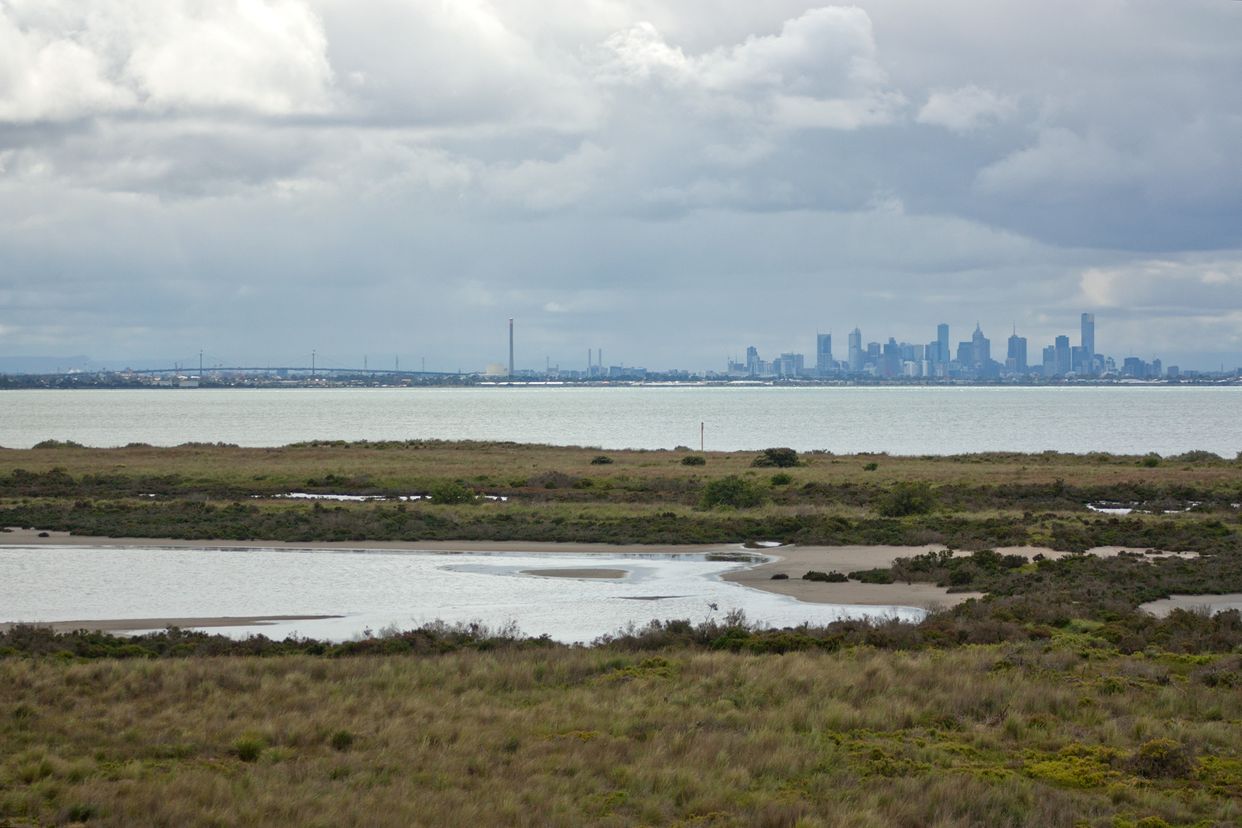 Cheetham Wetlands