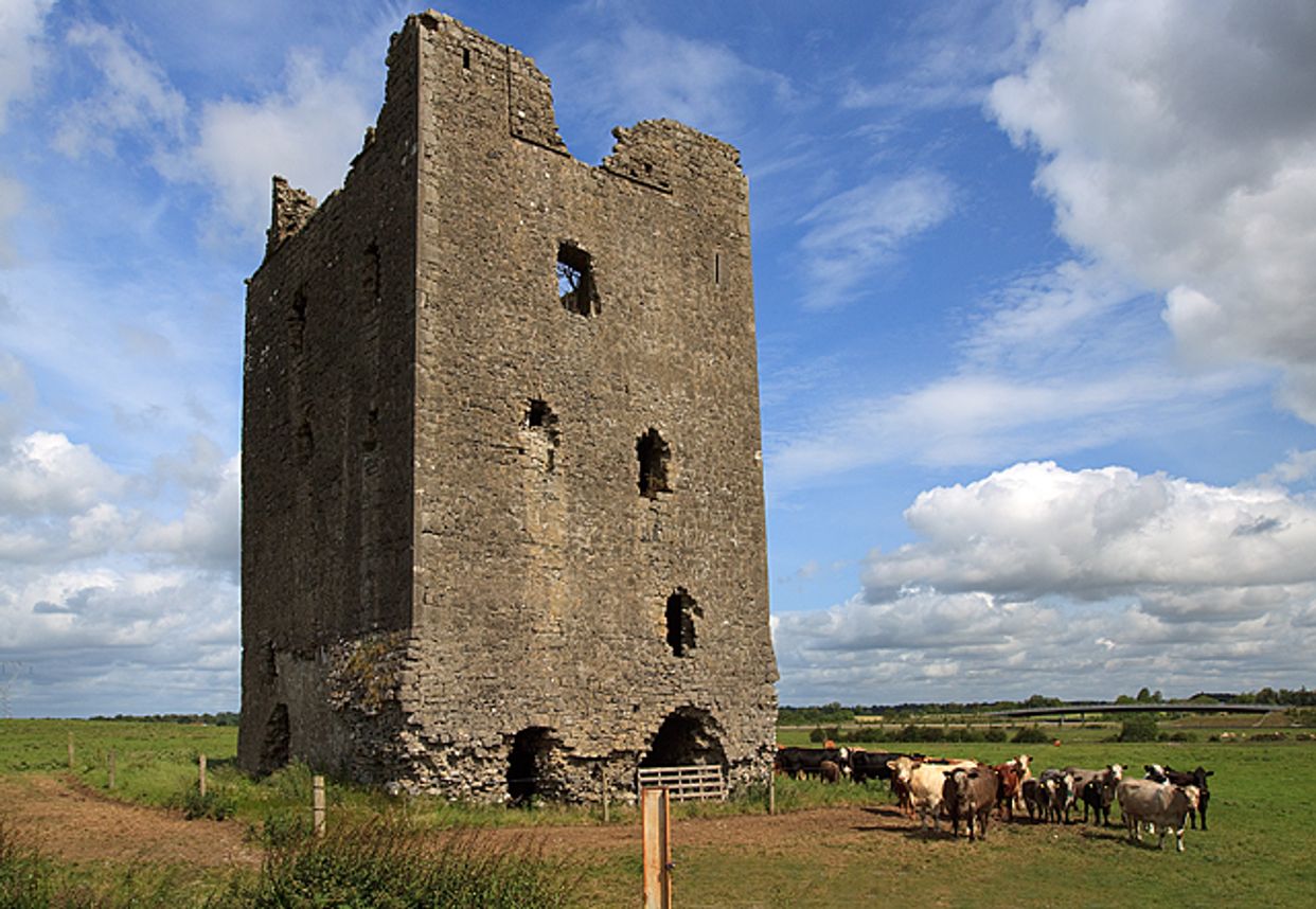 Rattin Castle