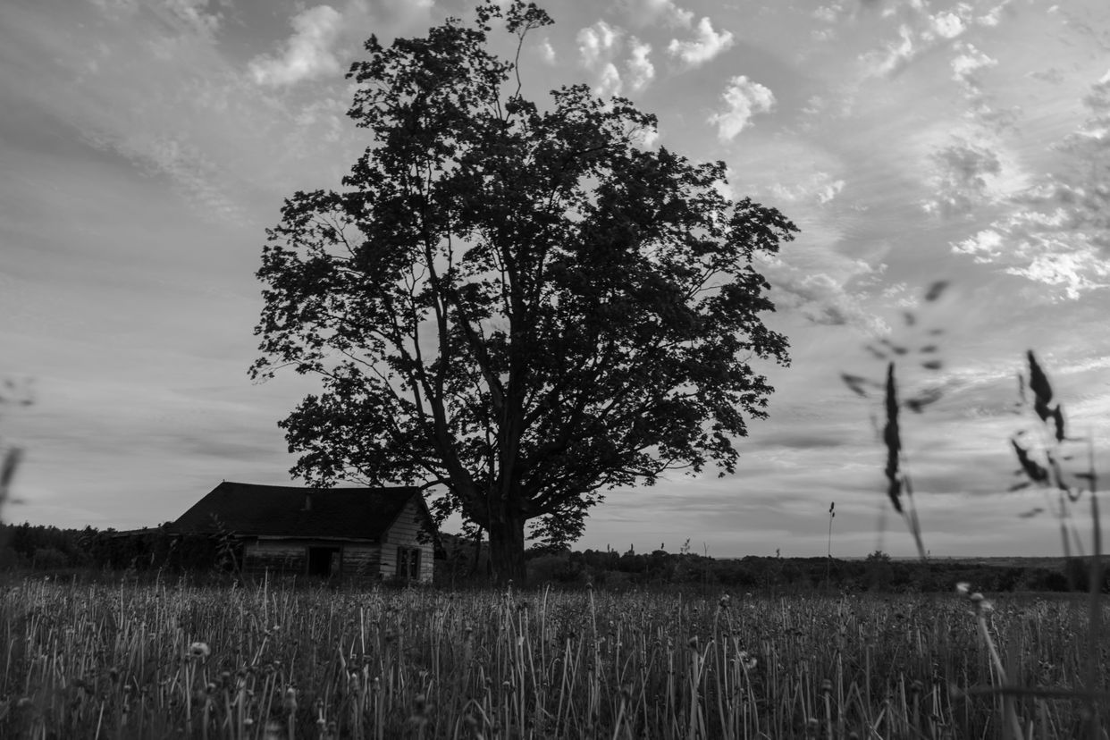 Abandoned House 