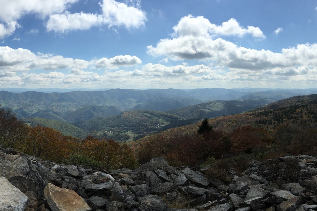 Whispering Spruce Trail Panoramic