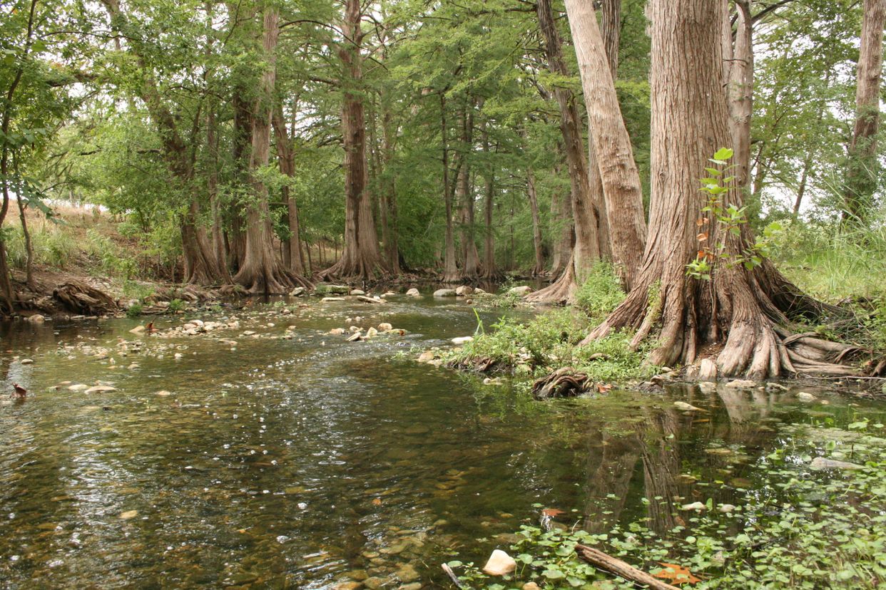 Cibolo Creek Nature Center
