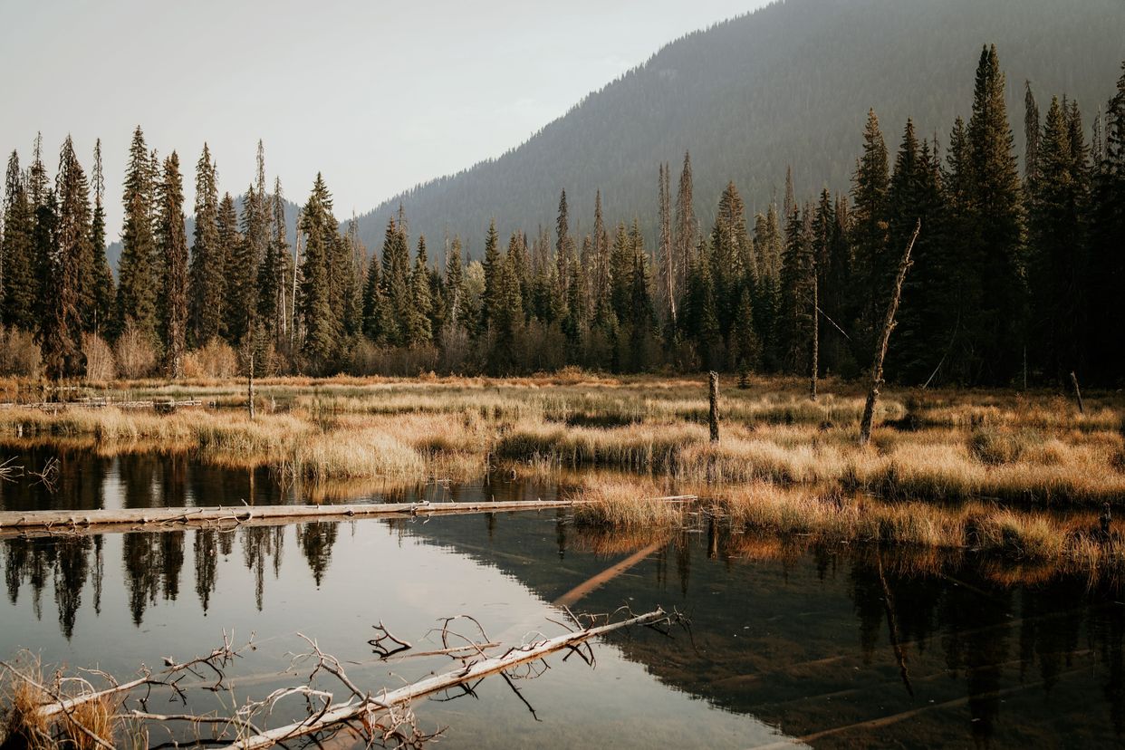 Manning Park