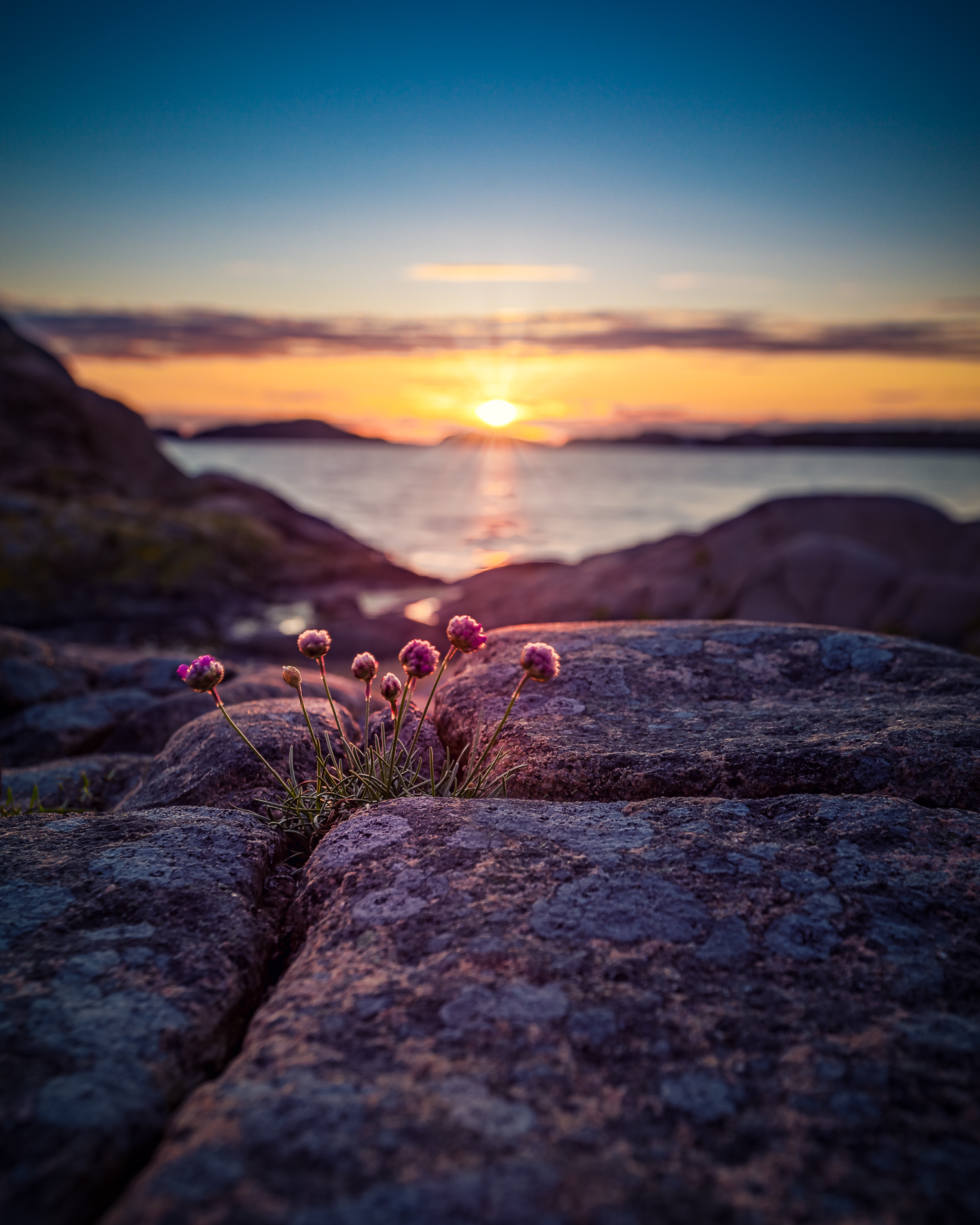 Sivik Peninsula Shoreline — Photo by poh__photo