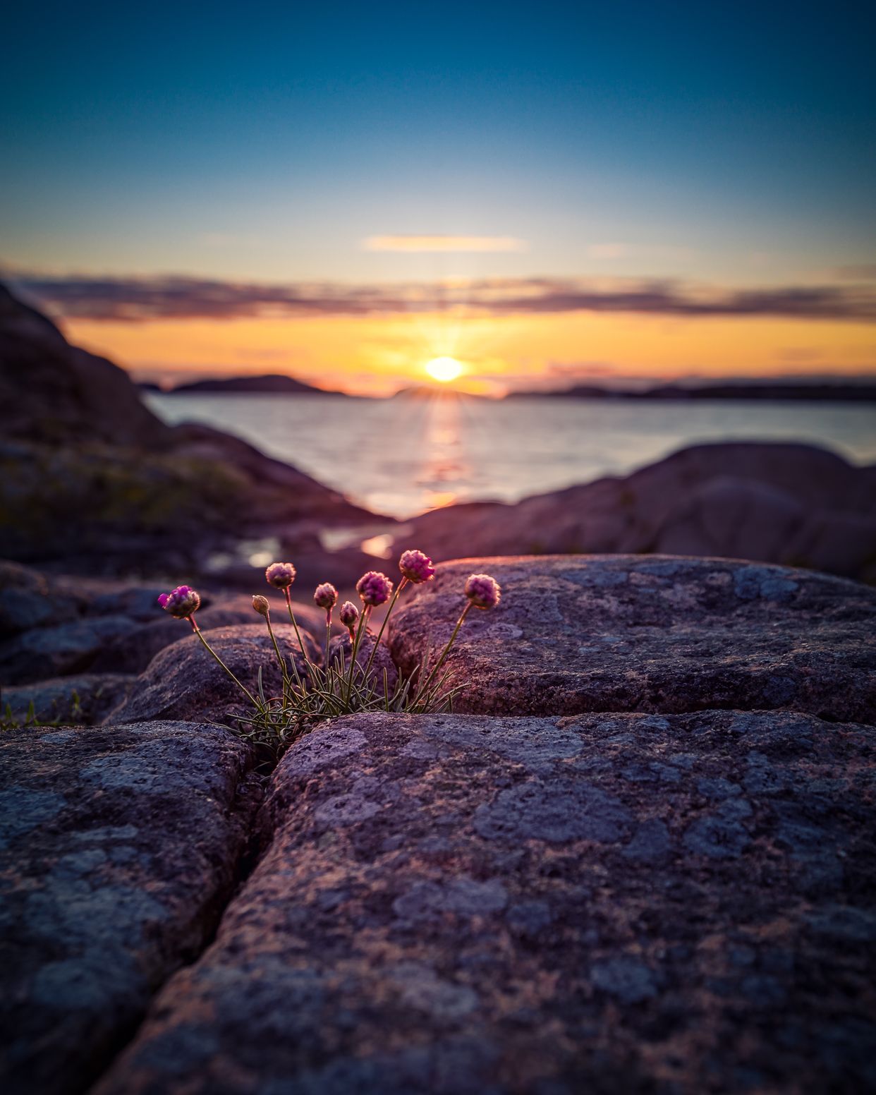 Sivik Peninsula Shoreline