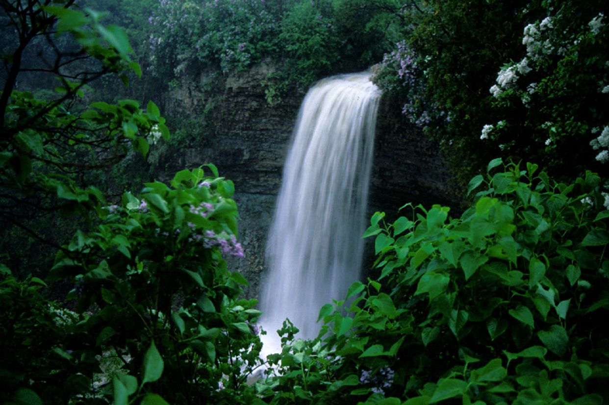 Borer's Falls