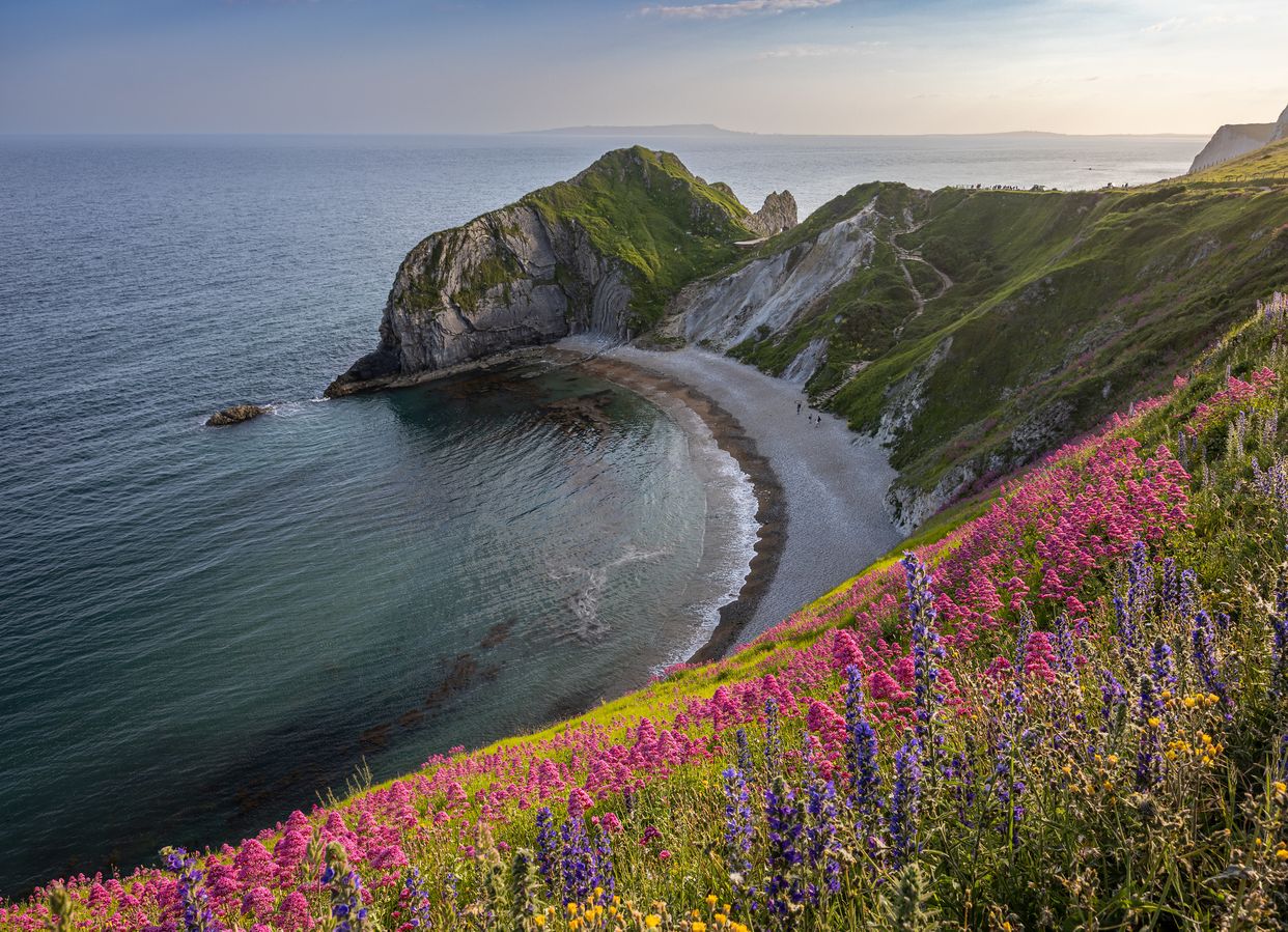 Man o' War Cove Viewpoint