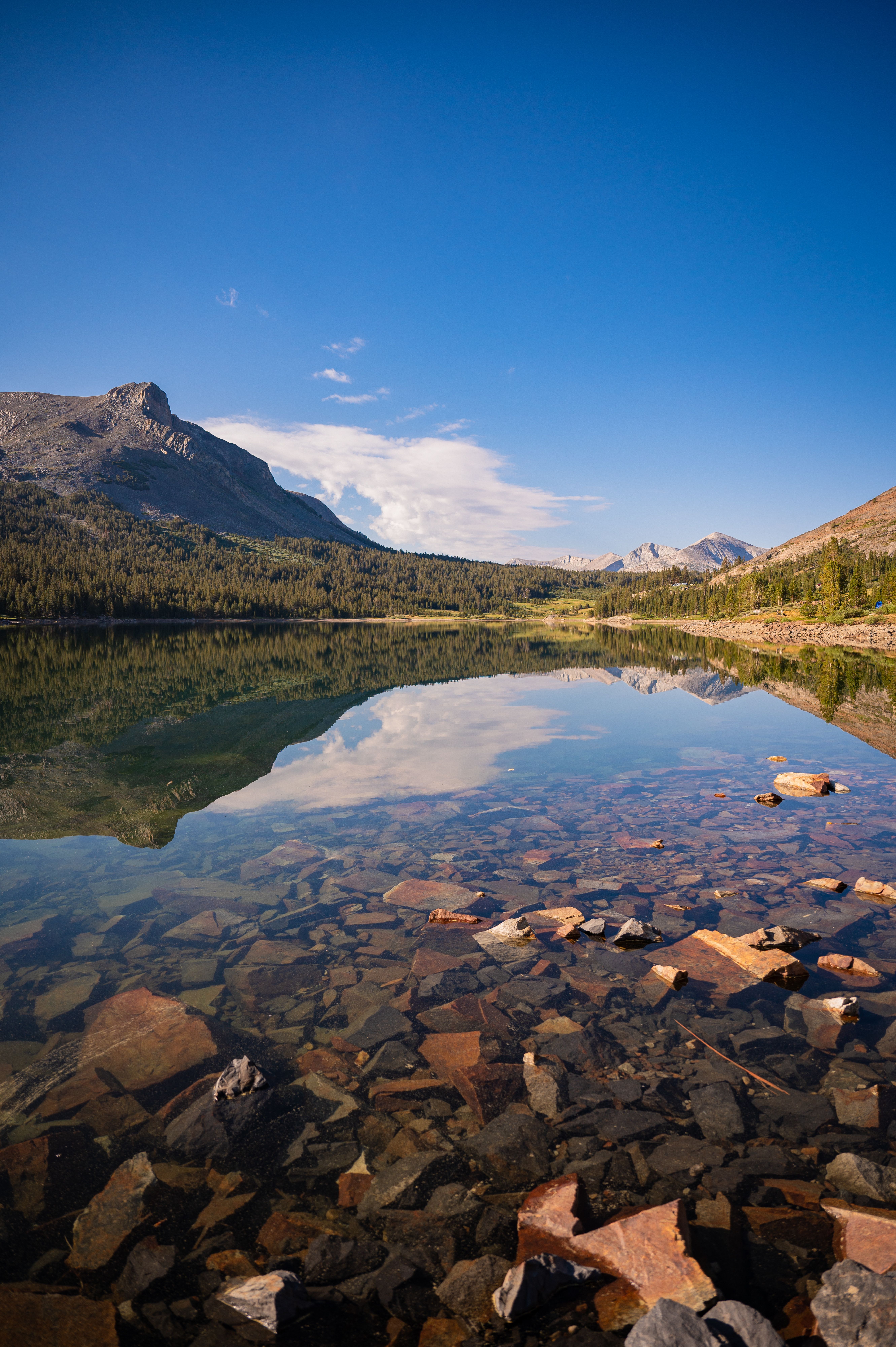 Ellery Lake — Photo by scarter-photography.com
