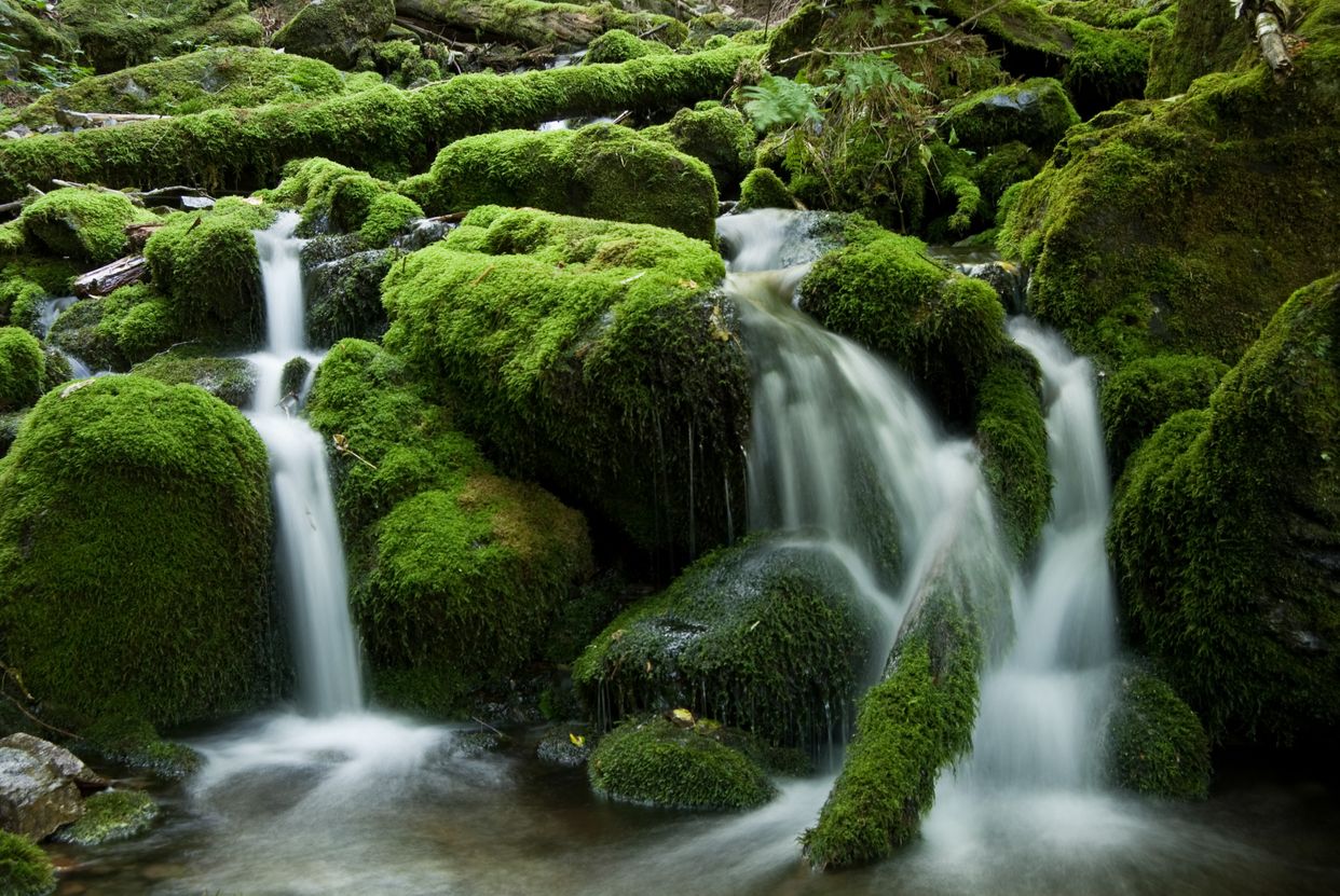 Little Falls