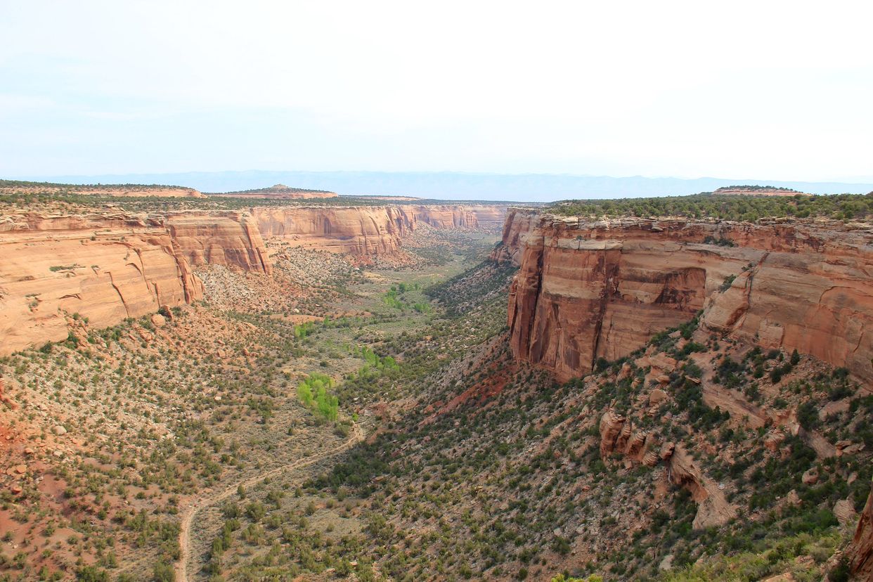 Ute Canyon View Overlook