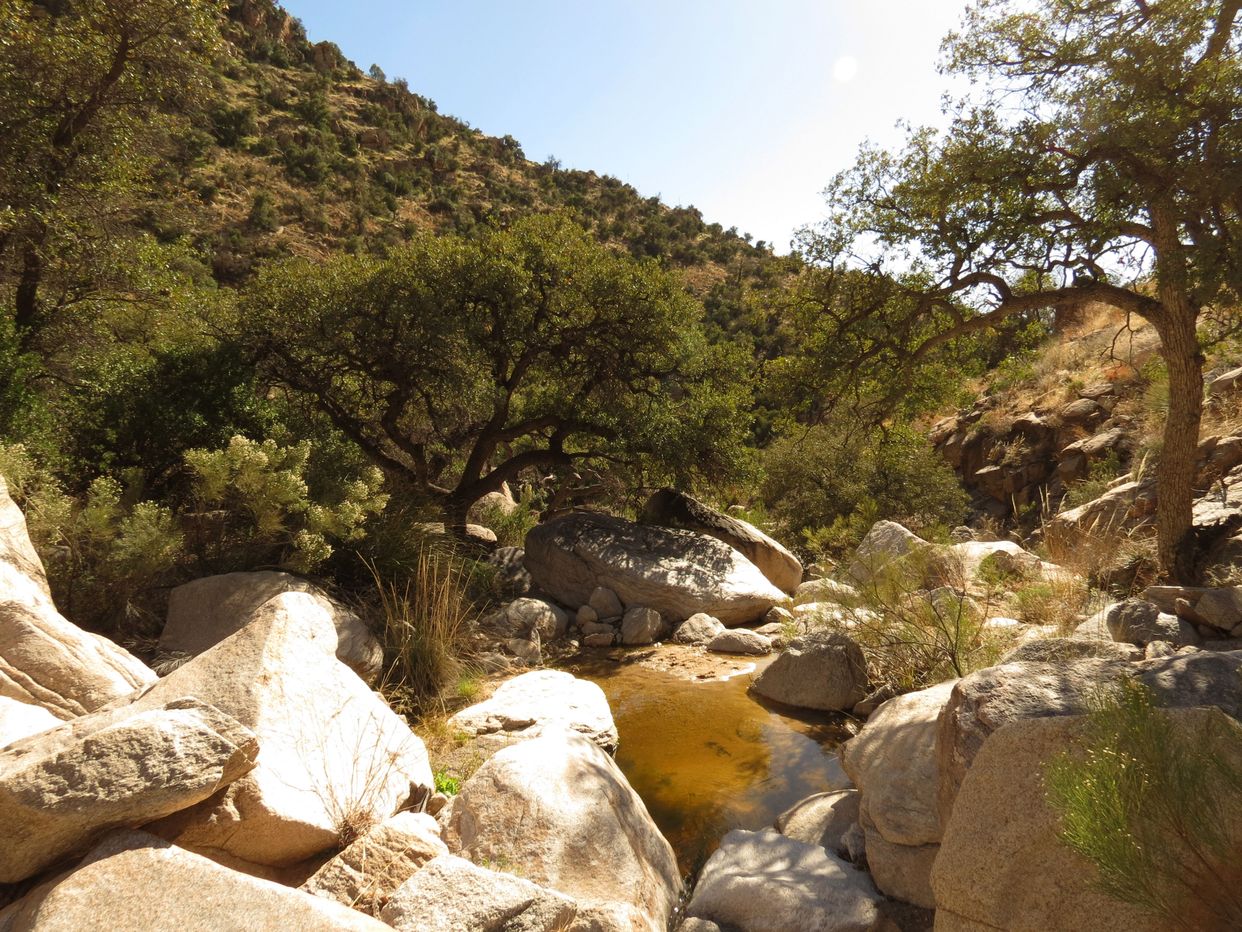 Molino Creek