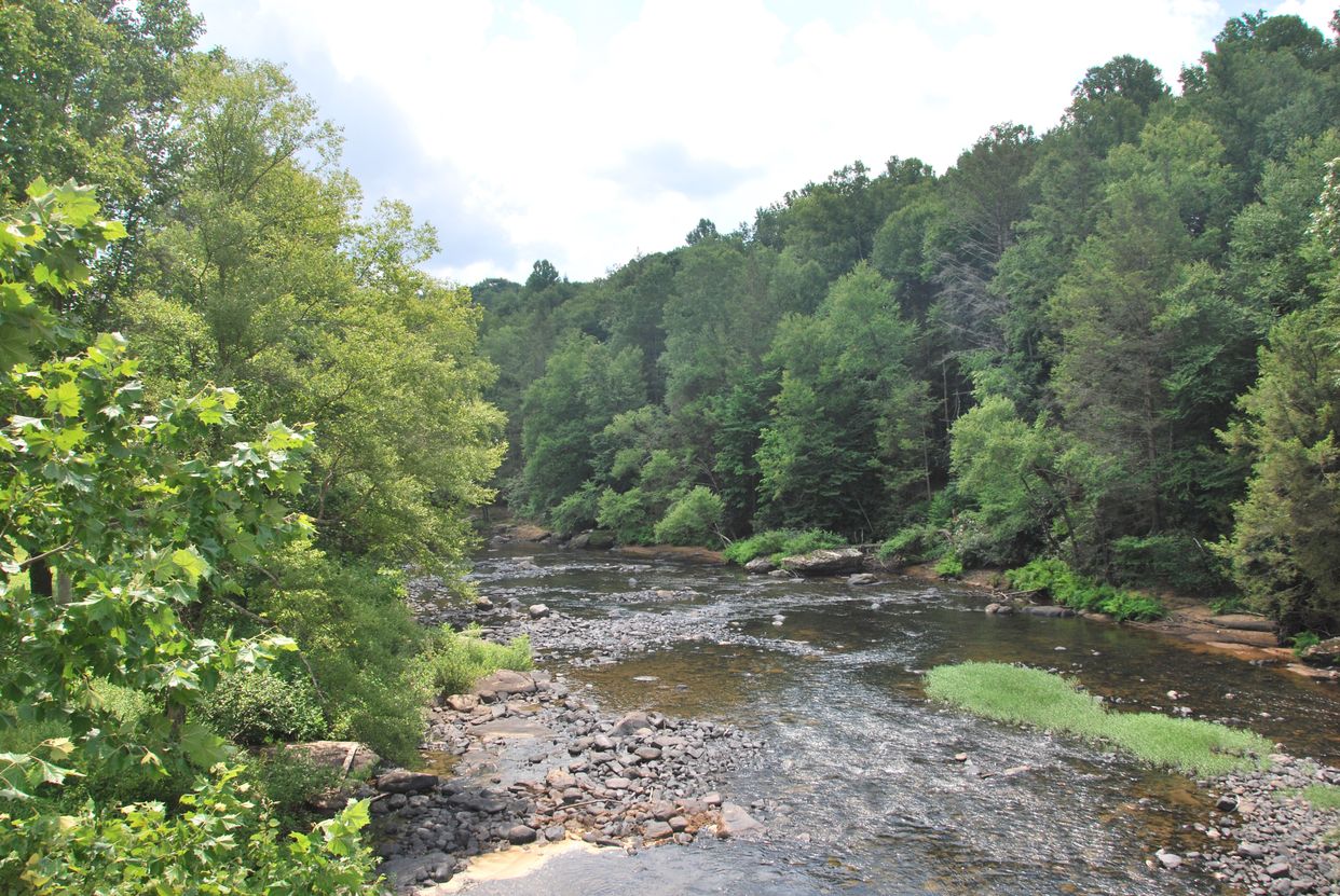 Meadow River