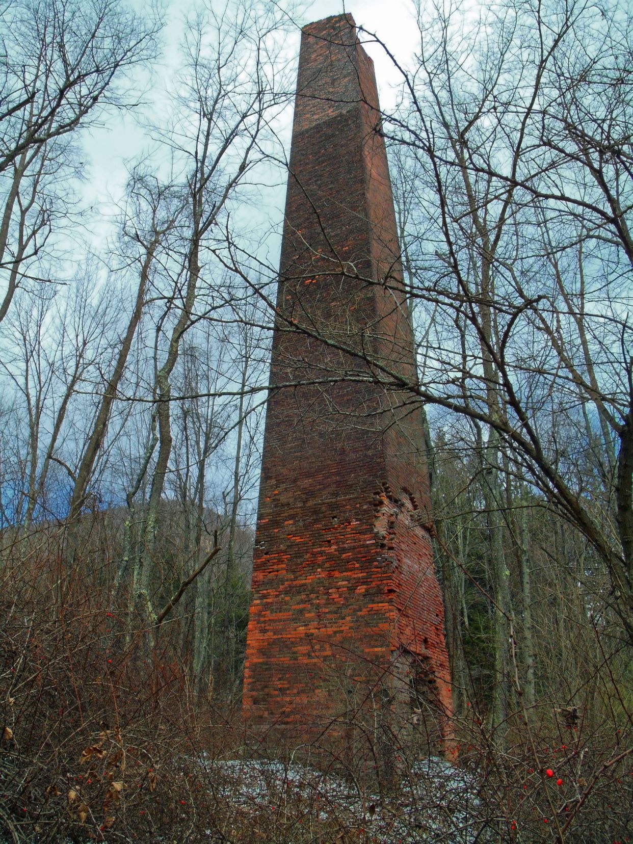 Jamison City Tannery Ruins