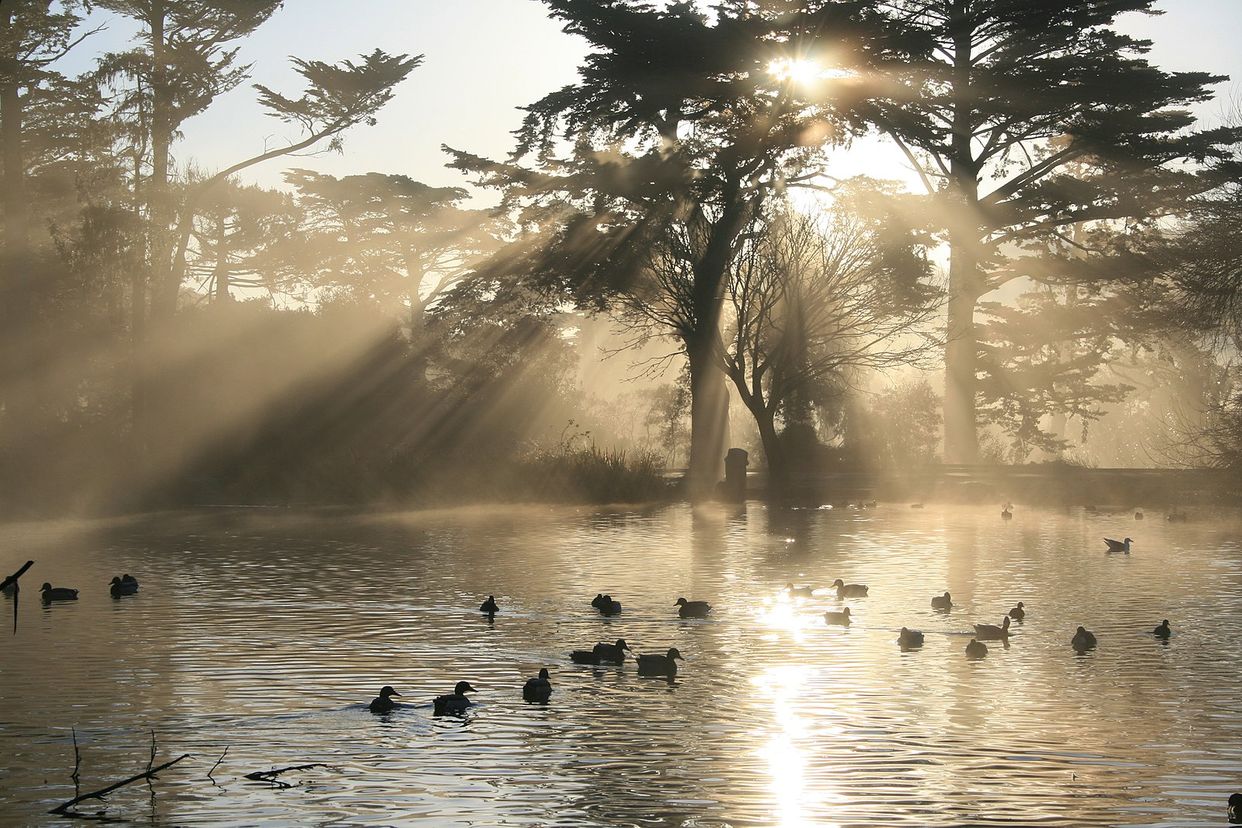 Stow Lake
