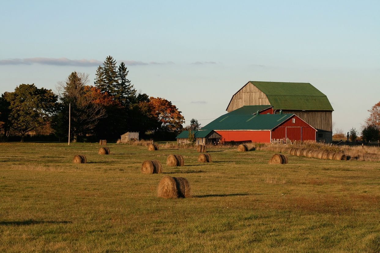 Farm Vista