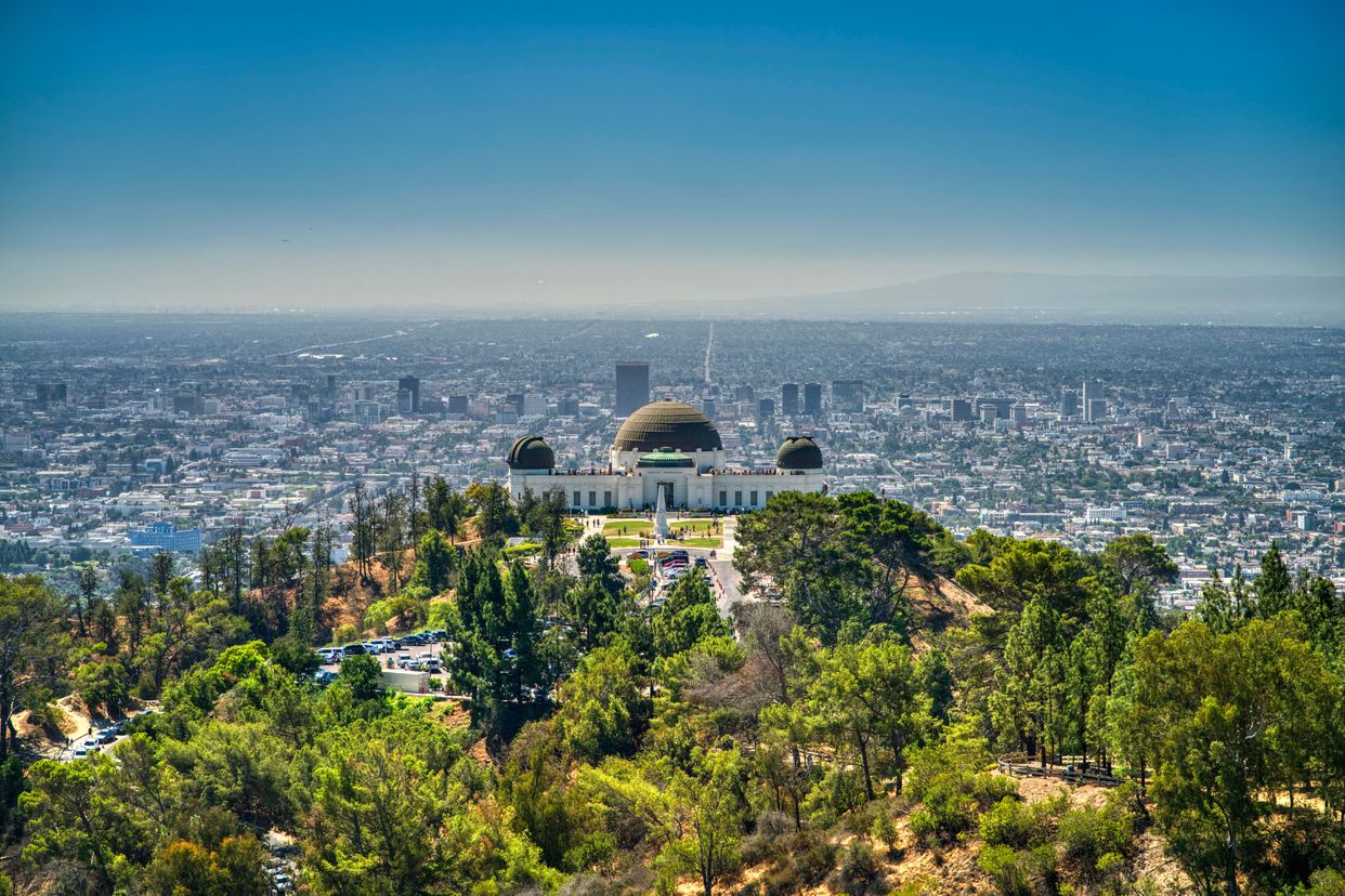 Griffith Park View