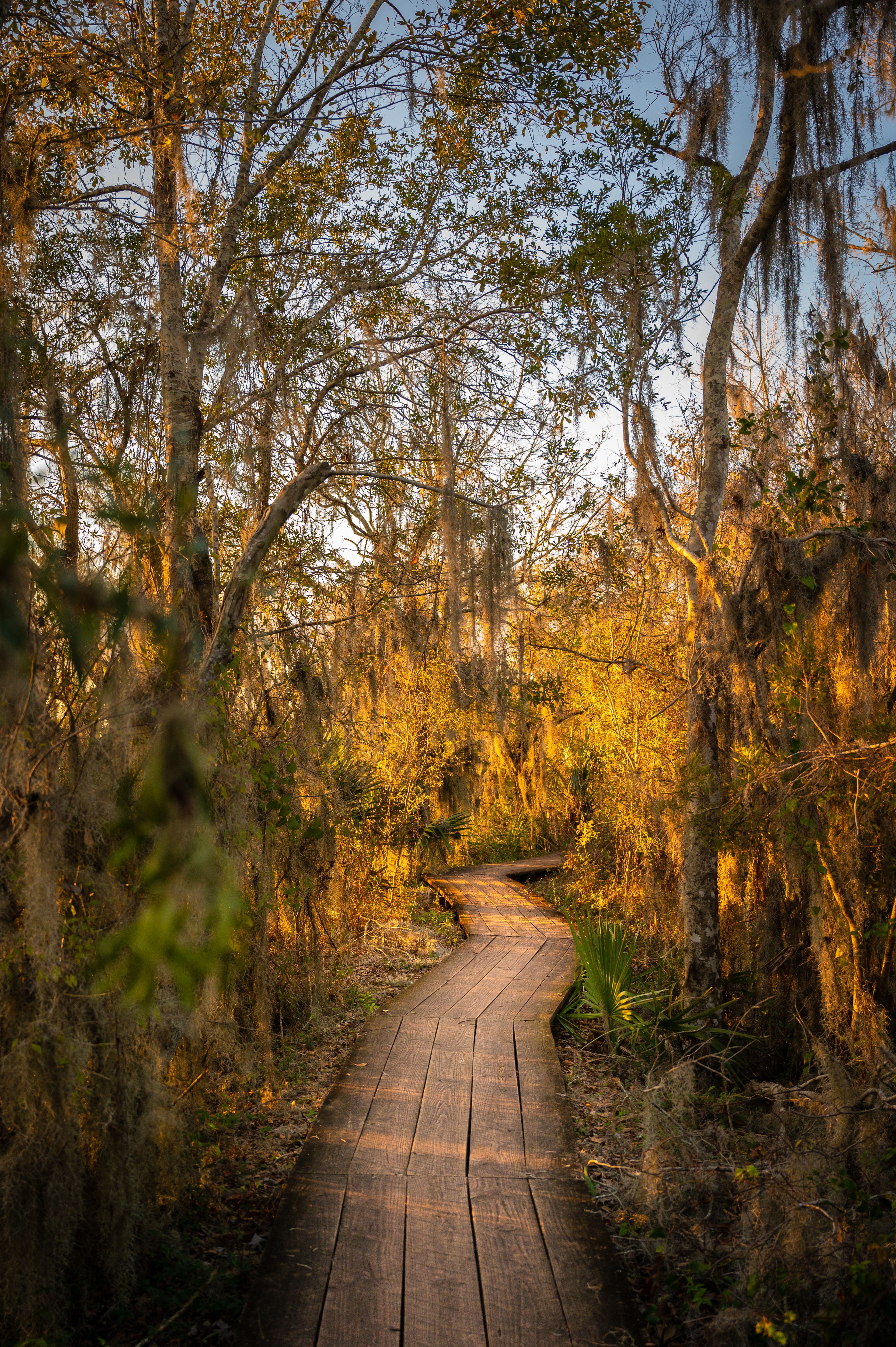 Barataria Preserve — Photo by scarter-photography.com