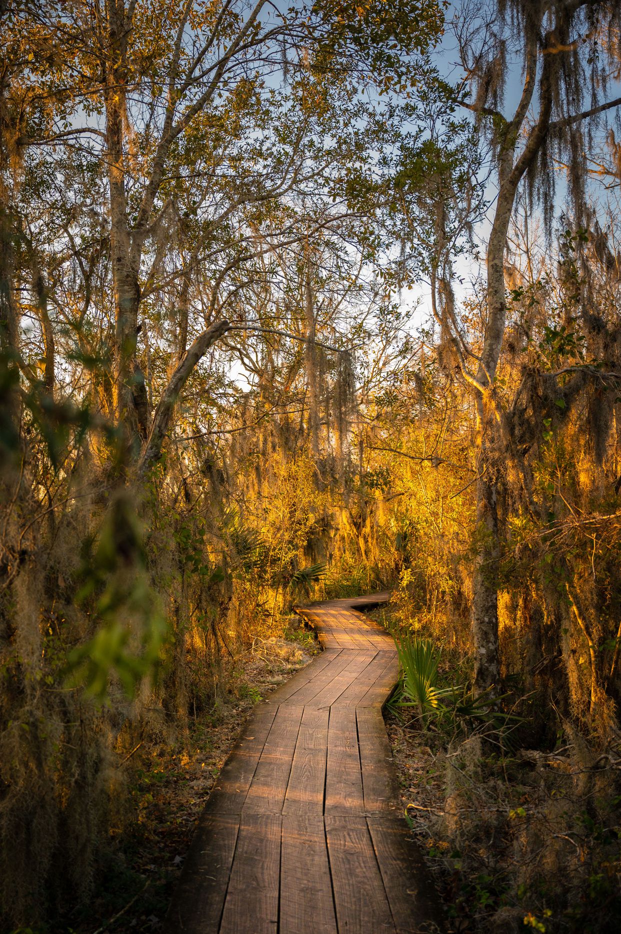 Barataria Preserve - Photo by scarter-photography.com