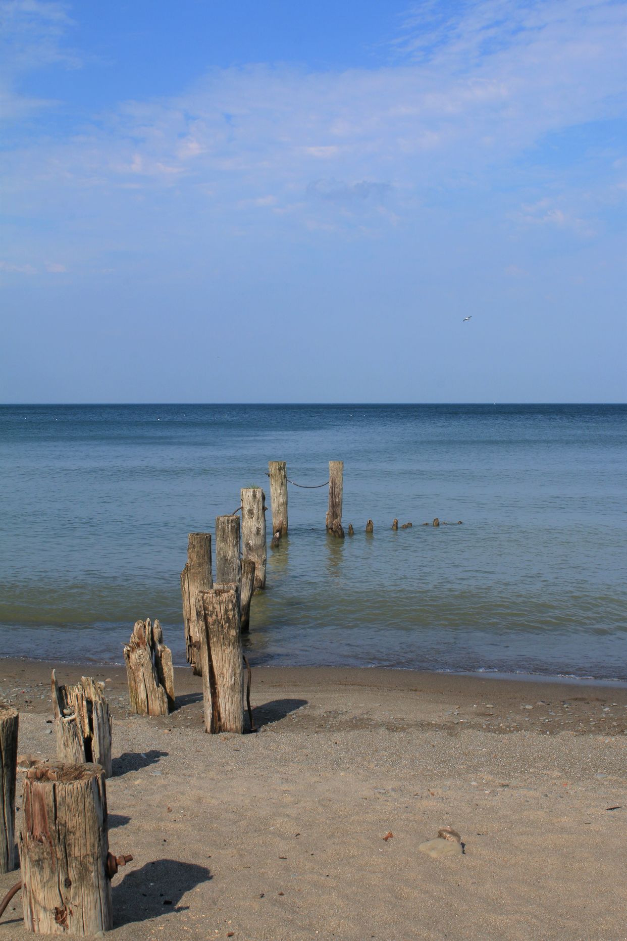 Kelson Beach 