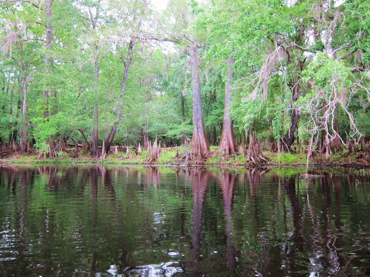 Santa Fe River